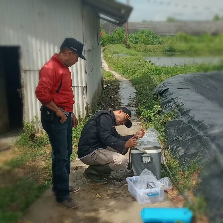 Badan Karantina Ikan Lampung, melakukan identifikasi virus udang di area pertambakan wilayah Dipasena, dengan mengambil sample air selanjutnya di uji di lab